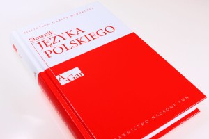 słownik języka polskiego